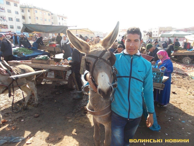 Віслючок і його хазяїн